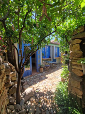 Casa Olive San Priamo